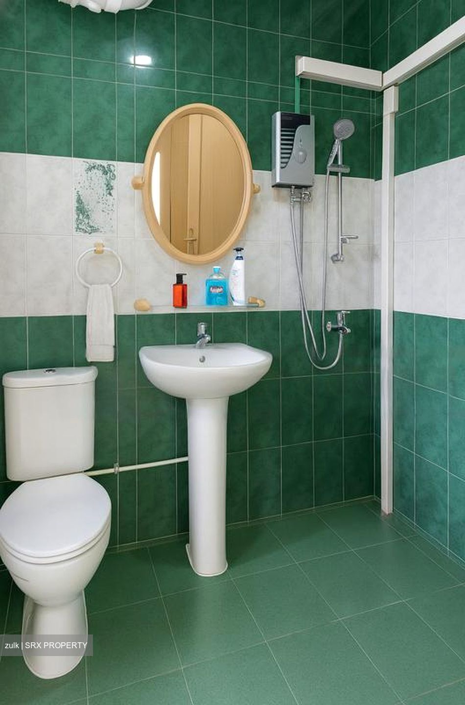 Blk 247 Pasir Ris Street 21 (Pasir Ris), HDB Executive #469134101